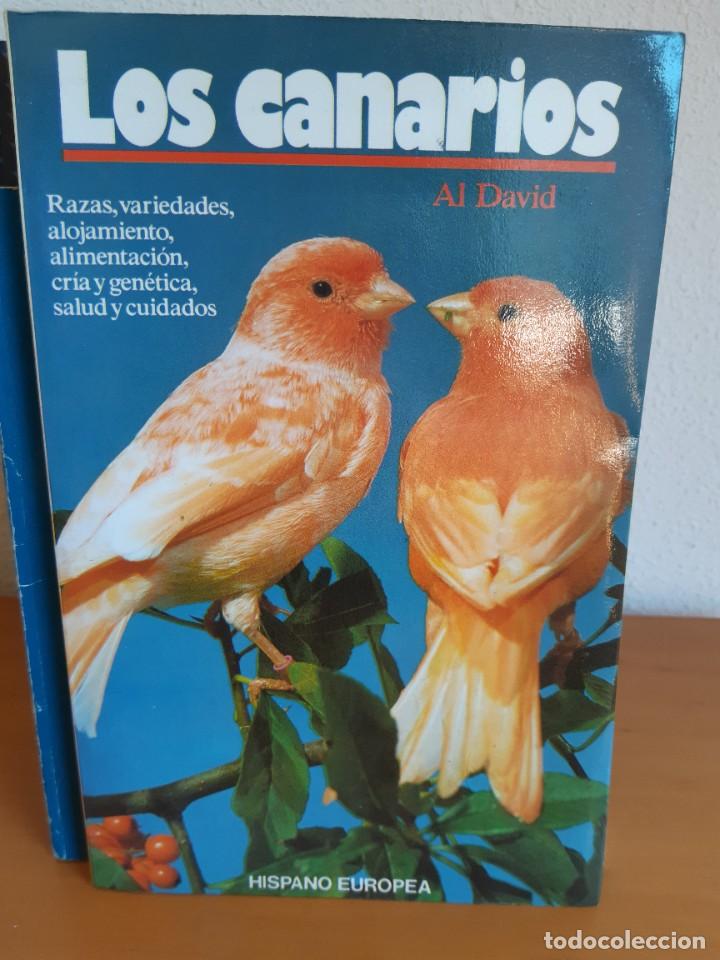 Libros: LOS CANARIOS AL DAVID - Foto 1