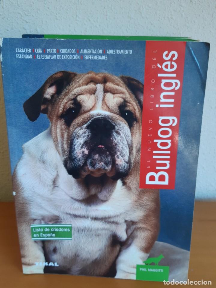 Libros: BULLDOG INGLES PHIL MAGGITTI - Foto 1