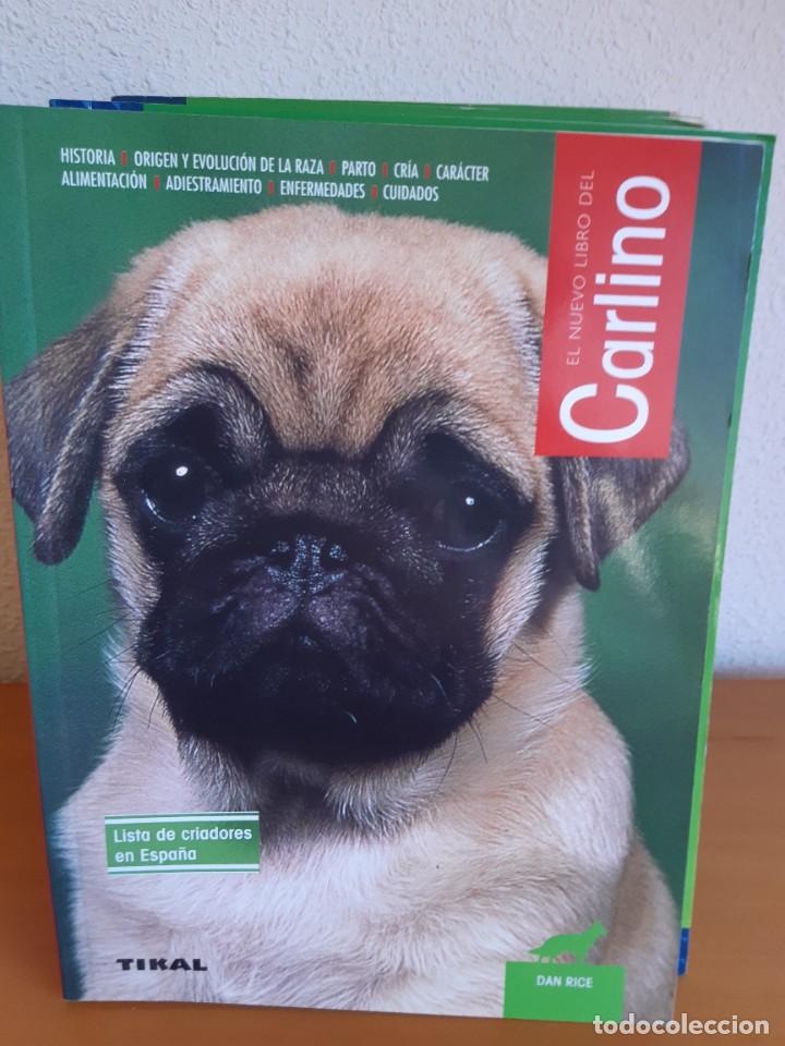 Libros: CARLINO DAN RICE - Foto 1