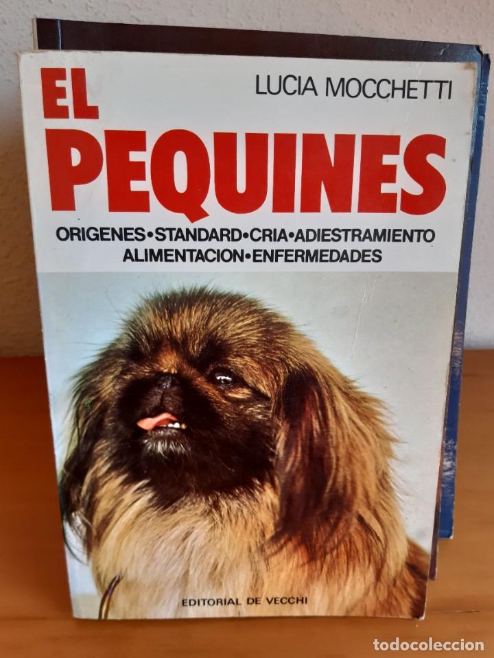 Libros: EL PEQUINES LUCIA MOCCHETTI - Foto 1