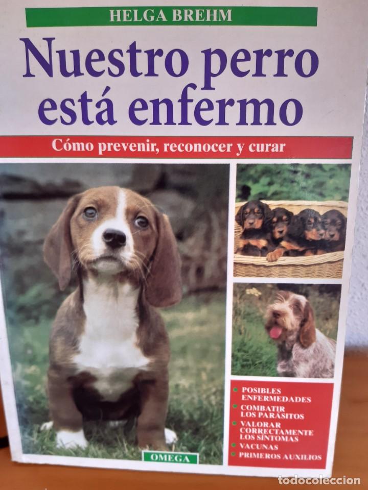 Libros: NUESTRO PERRO ESTA ENFERMO HELGA BREHM - Foto 1