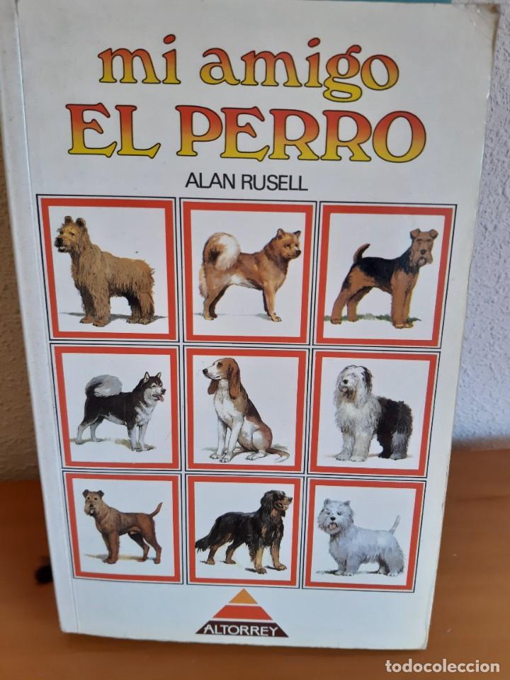 Libros: MI AMIGO EL PERRO ALAN RUSELL - Foto 1