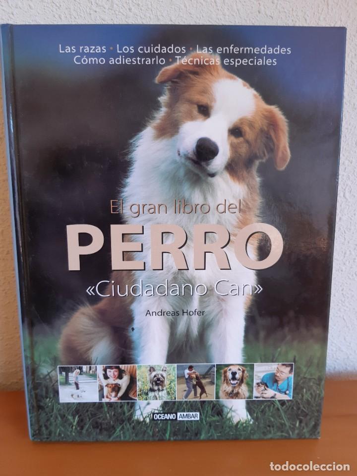 Libros: EL GRAN LIBRO DEL PERRO CIUDADANO CAN - Foto 1