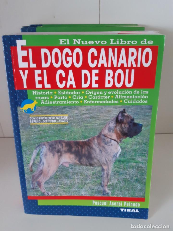 Libros: EL DOGO CANARIO Y EL CA DE BOU - Foto 1