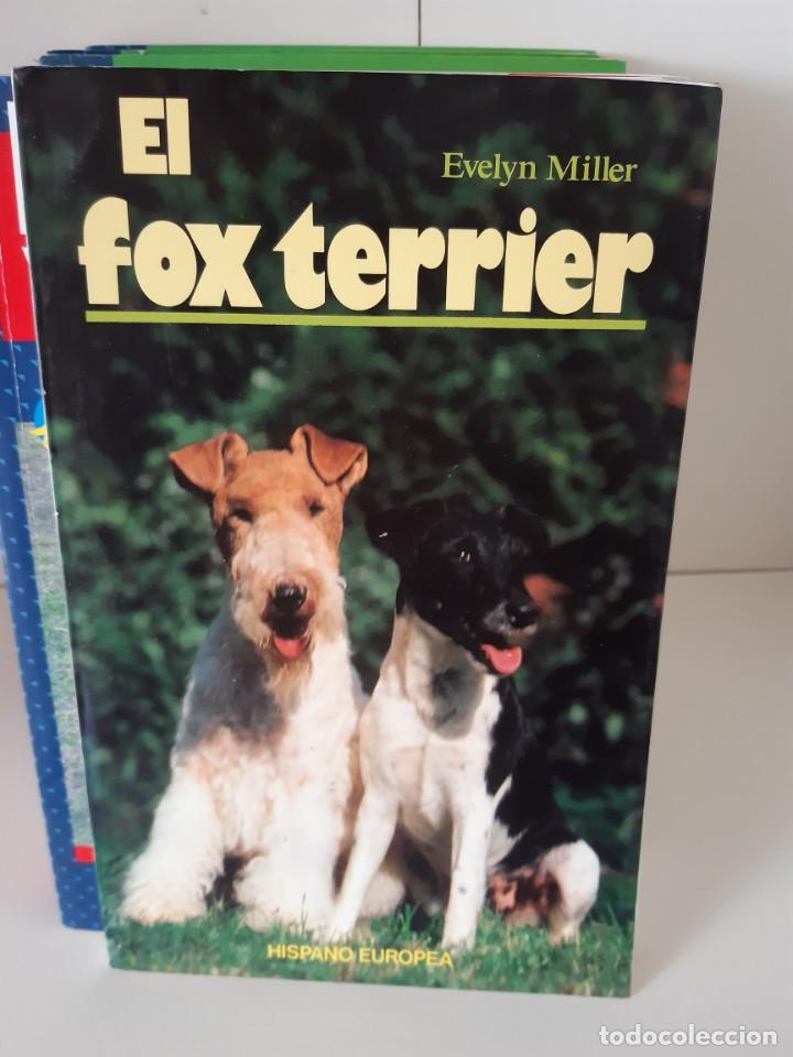 Libros: EL FOX TERRIER EVELYN MILLER - Foto 1