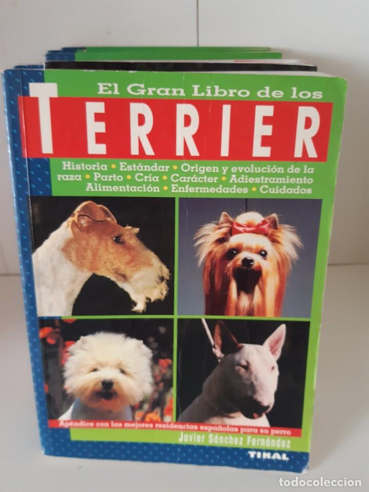 Libros: TERRIER JAVIER SANCHEZ FERNANDEZ - Foto 1