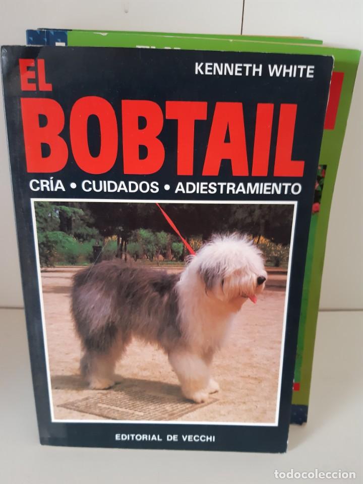 Libros: EL BOBTAIL - Foto 1
