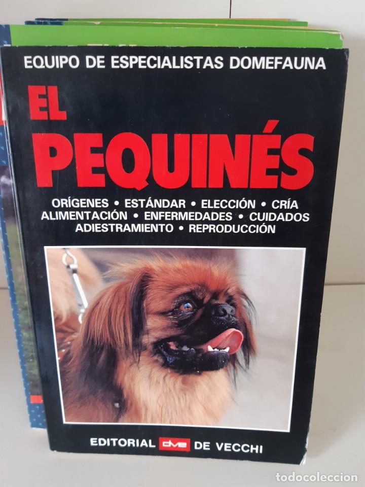 Libros: EL PEQUINES - Foto 1