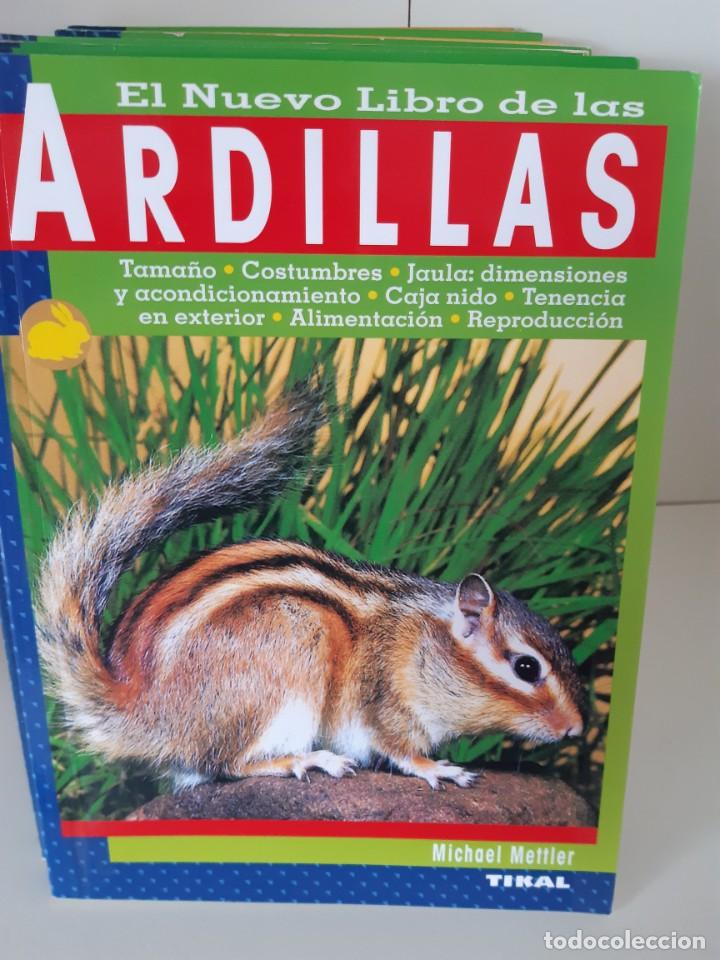 Libros: ARDILLAS - Foto 1