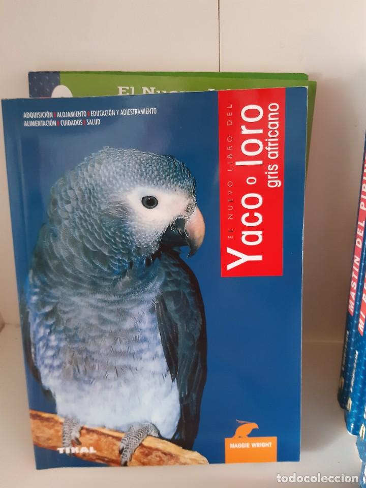 Libros: YACO O LORO GRIS AFRICANO - Foto 1