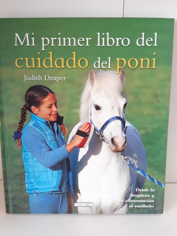 Libros: MI PRIMER LIBRO DEL CUIDADO DEL PONI CABALLO - Foto 1
