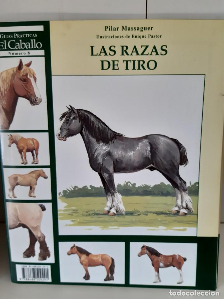 Libros: LAS RAZAS DE TIRO CABALLO - Foto 1