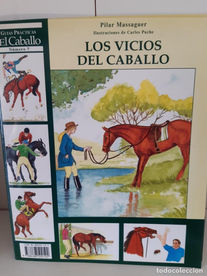 Libros: LOS VICIOS DEL CABALLO - Foto 1