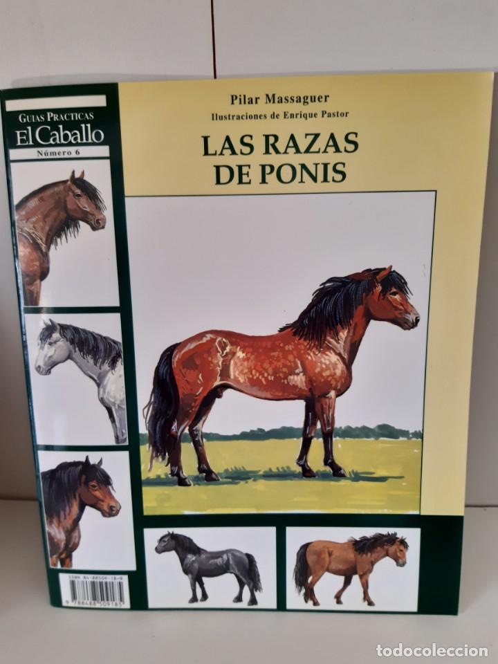 Libros: LAS RAZAS DE PONIS CABALLO - Foto 1