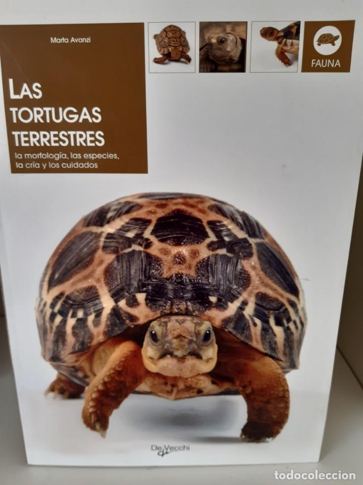 Libros: LAS TORTUGAS TERRESTRES - Foto 1