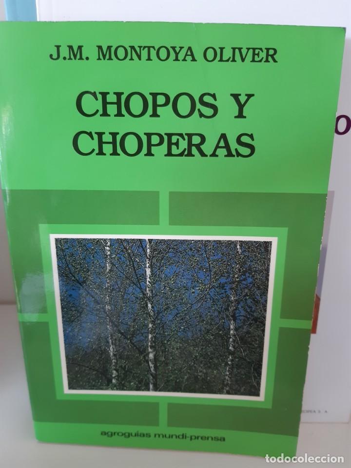 Libros: CHOPOS Y CHOPERAS - Foto 1