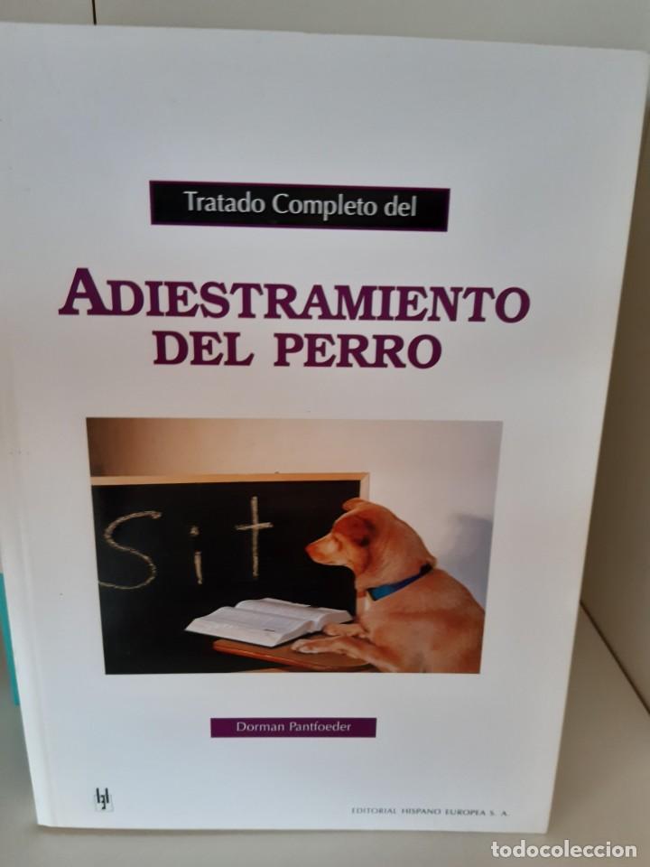 Libros: ADIESTRAMIENTO DEL PERRO DORMAN PANTIOEDER - Foto 1