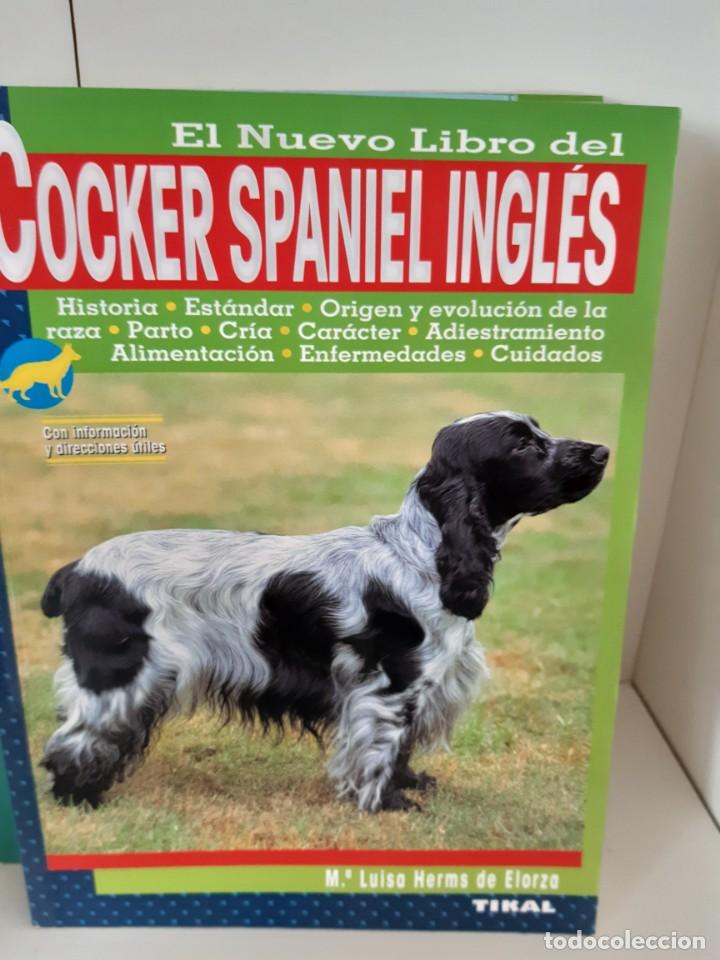 Libros: COCKER SPANIEL INGLES - Foto 1