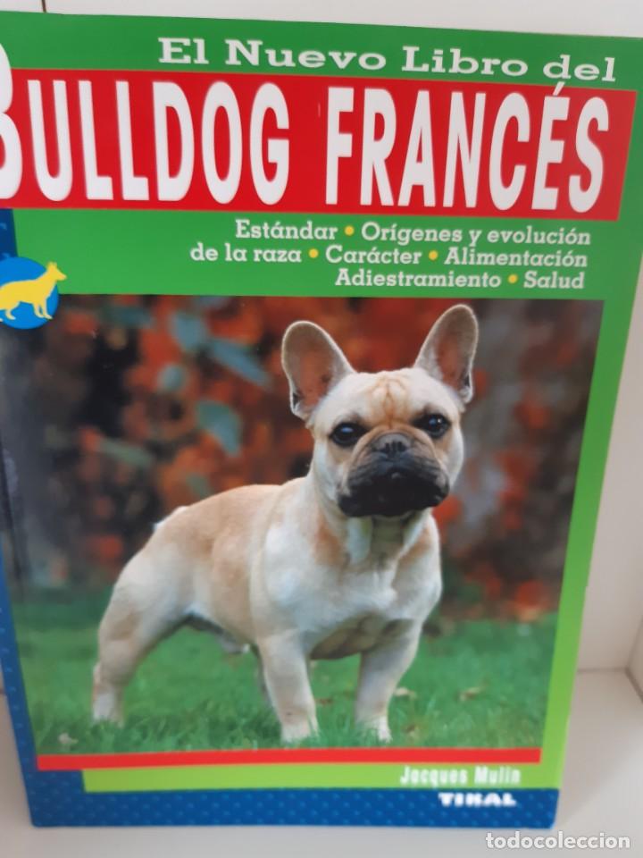 Libros: BULLDOG FRANCES - Foto 1