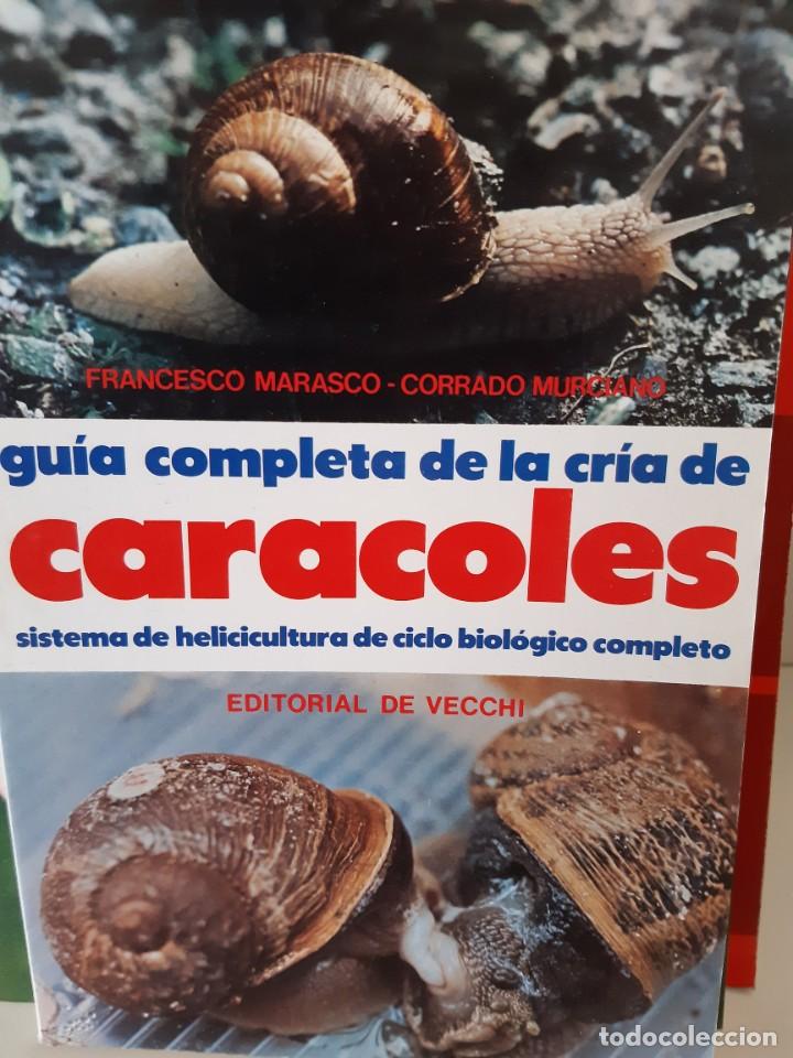 Libros: GUIA COMPLETA DE LA CRIA DE CARACOLES - Foto 1