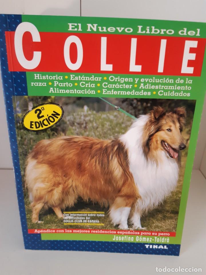 Libros: COLLIE JOSEFINA GOMEZ TOLDRA - Foto 1