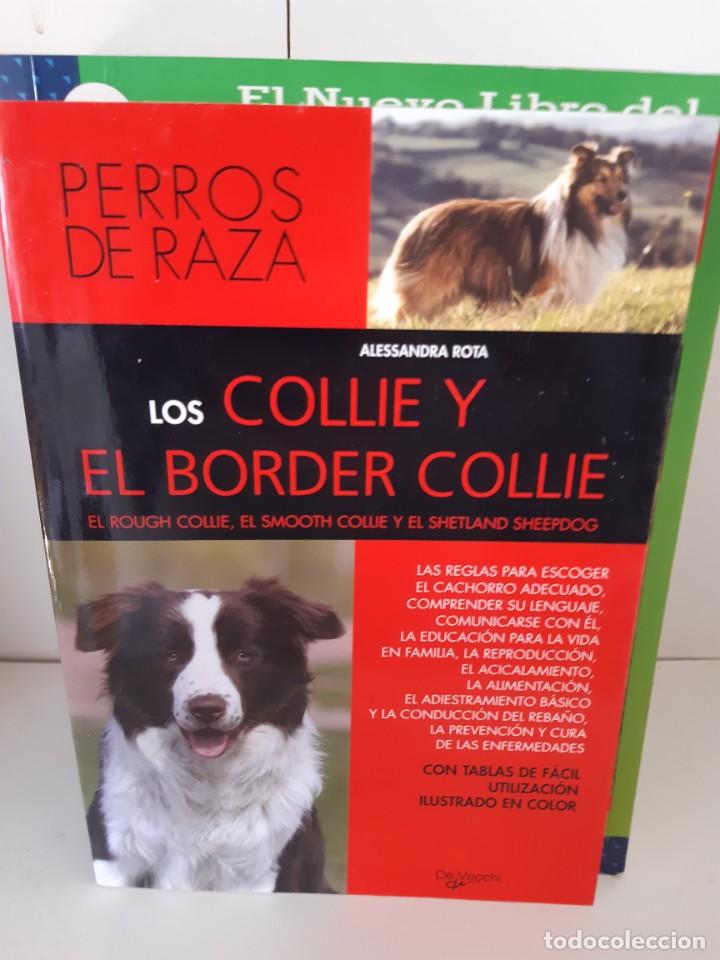 Libros: LOS COLLIE Y EL BORDER COLLIE - Foto 1