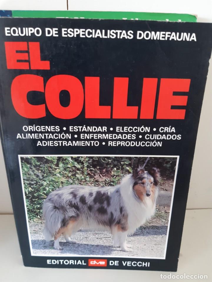Libros: EL COLLIE - Foto 1