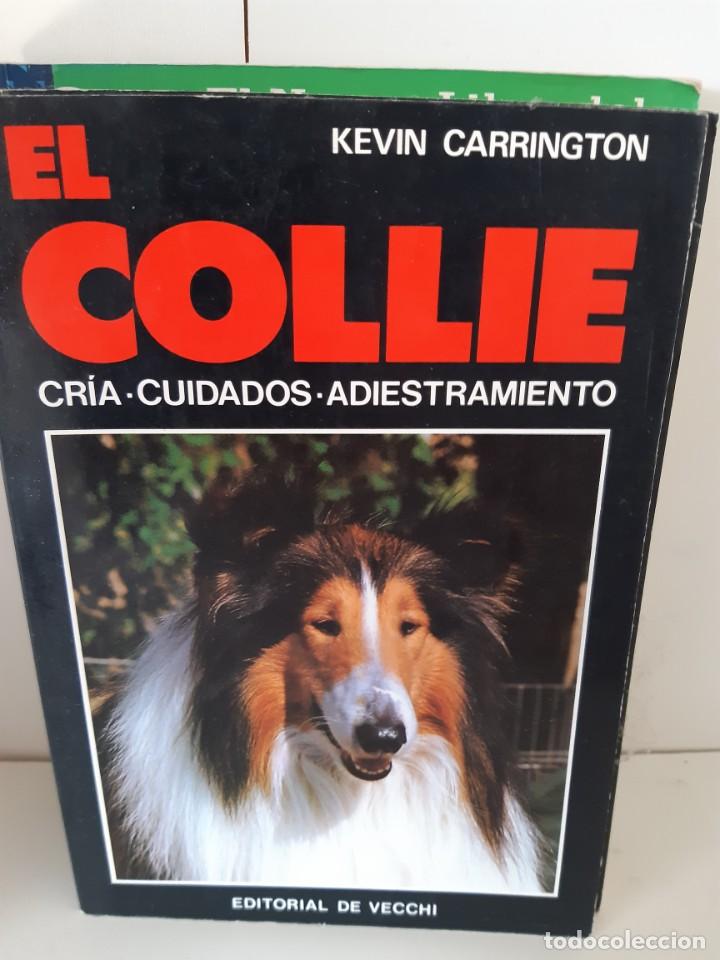 Libros: EL COLLIE - Foto 1