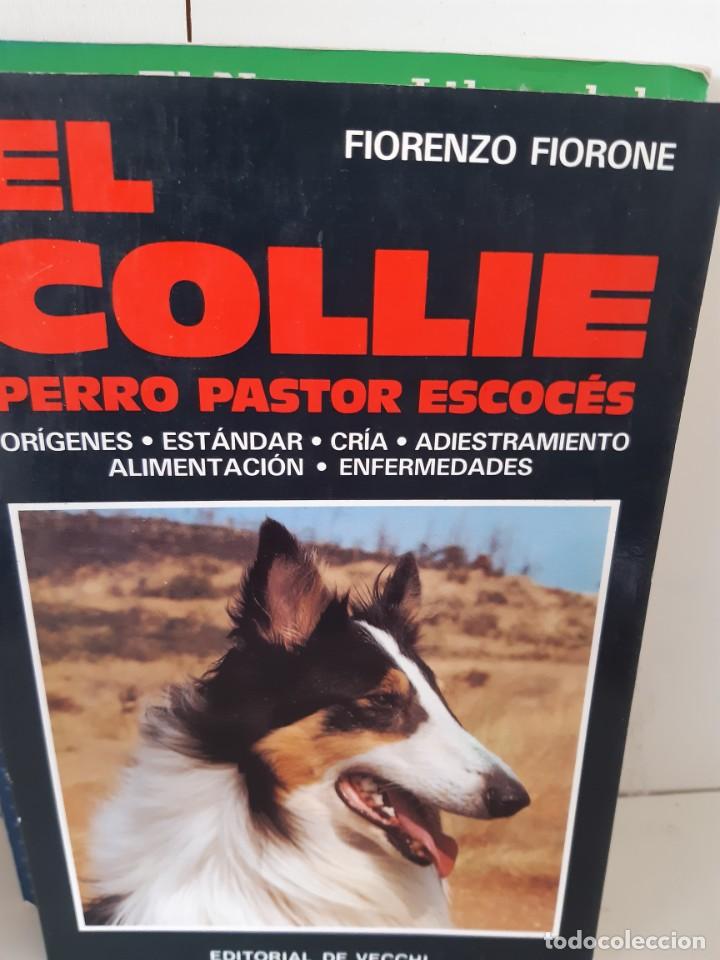 Libros: EL COLLIE - Foto 1