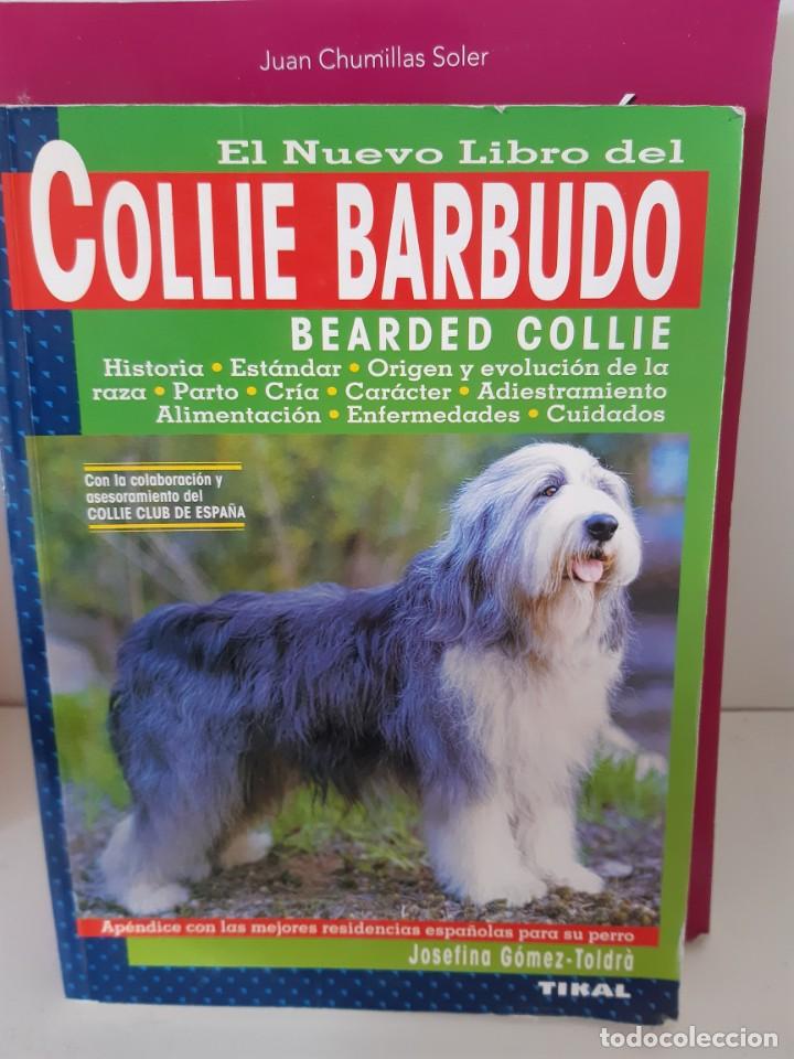 Libros: COLLIE BARBUDO BEARDED COLLIE - Foto 1