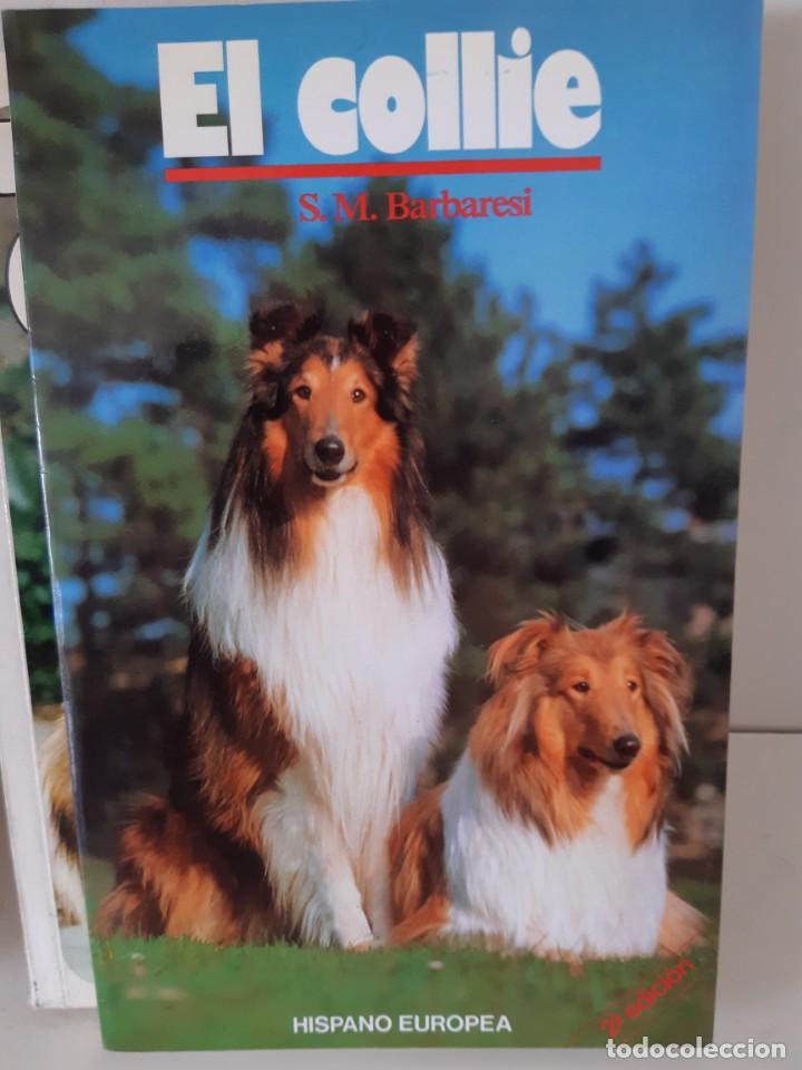 Libros: EL COLLIE - Foto 1