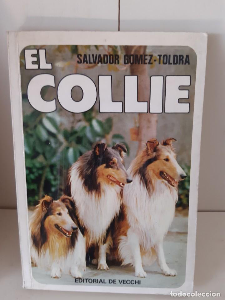 Libros: EL COLLIE - Foto 1