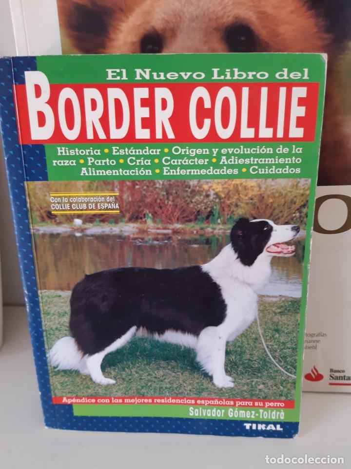 Libros: BORDER COLLIE - Foto 1