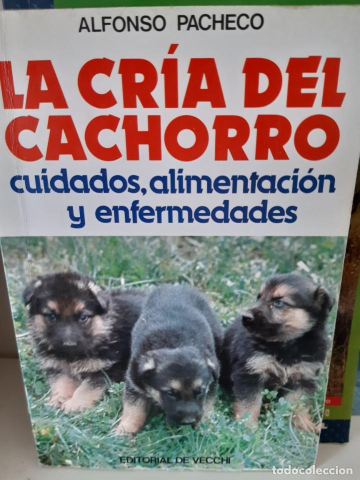Libros: LA CRIA DEL CACHORRO PERRO - Foto 1