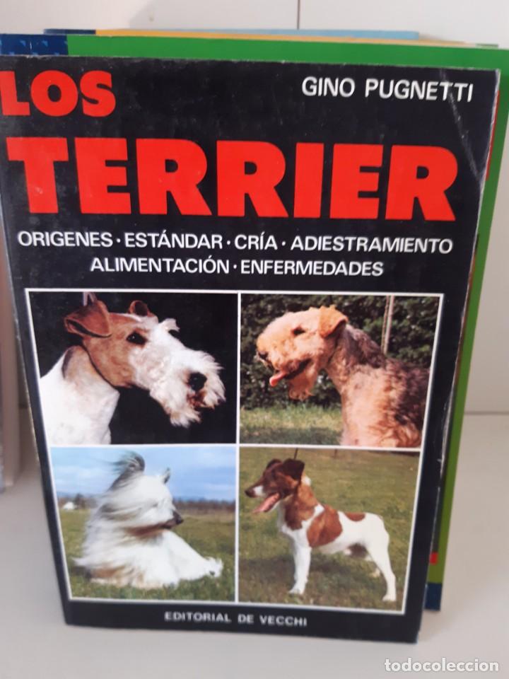 Libros: LOS TERRIER - Foto 1