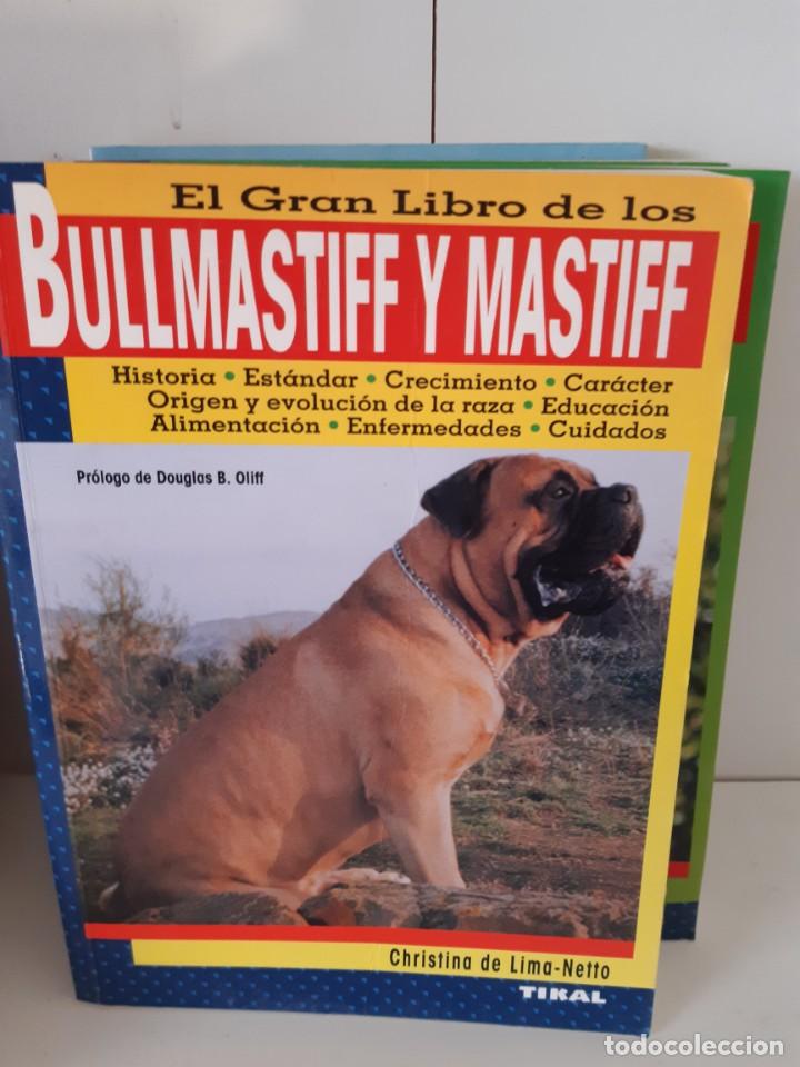 Libros: BULLMASTIFF Y MASTIFF - Foto 1