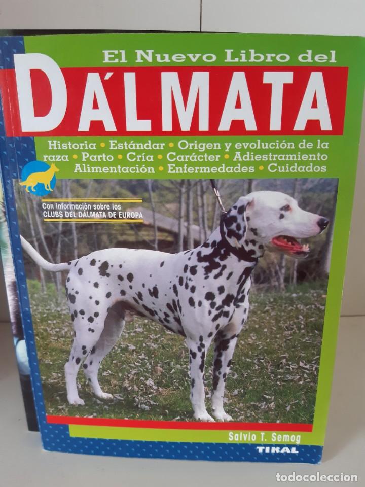 Libros: DALMATA - Foto 1