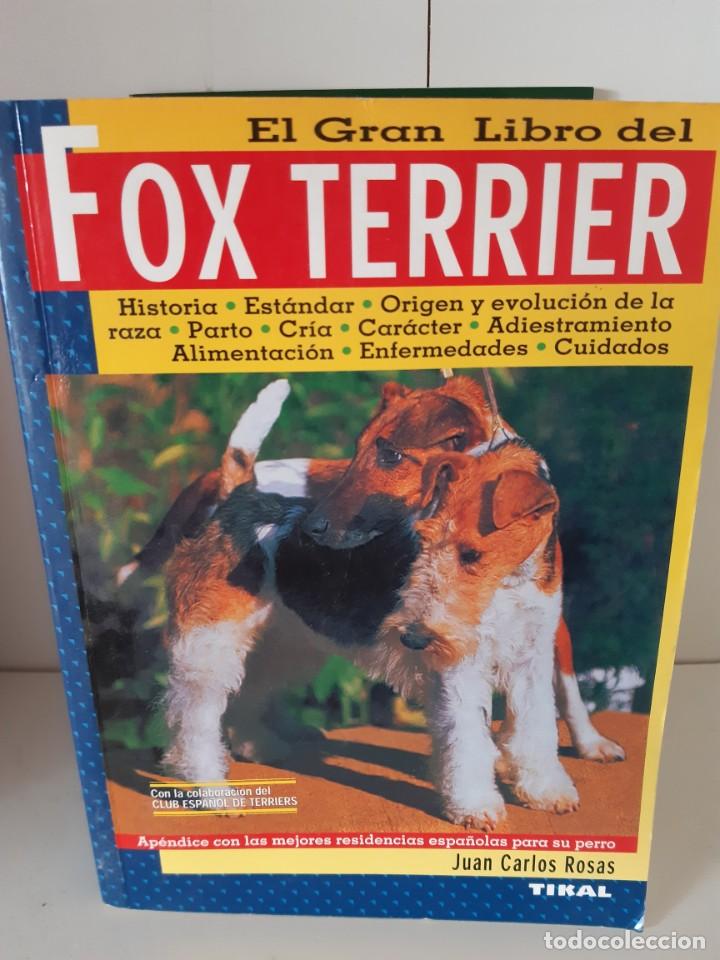 Libros: FOX TERRIER JUAN CARLOS ROSAS - Foto 1