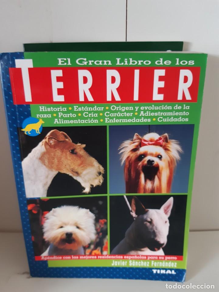 Libros: TERRIER JAVIER SANCHEZ FERNANDEZ - Foto 1