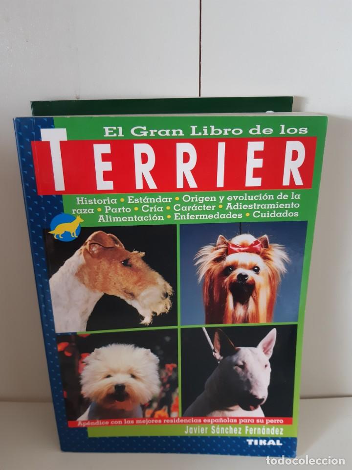 Libros: TERRIER JAVIER SANCHEZ FERNANDEZ - Foto 1