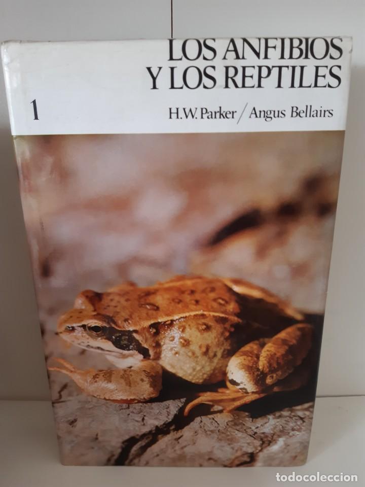 Libros: LOS ANFIBIOS Y LOS REPTILES - Foto 1