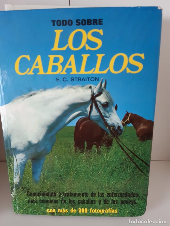 Libros: LOS CABALLOS - Foto 1