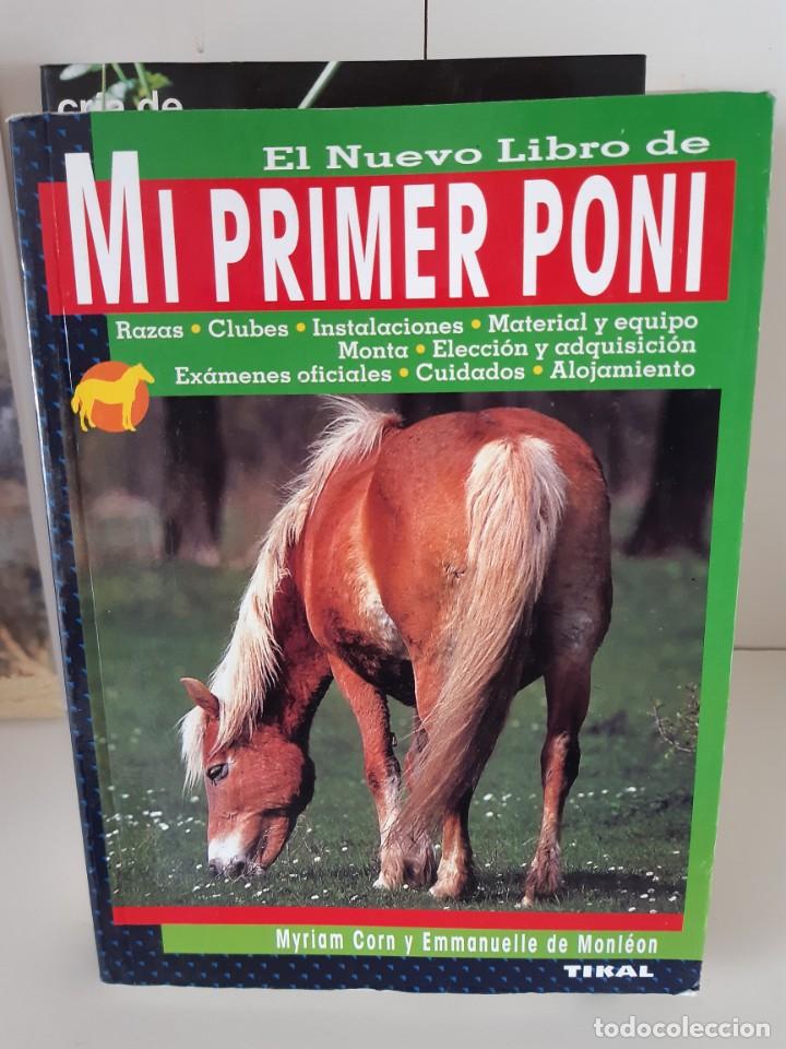Libros: MI PRIMER PONI MYRIAM CORN Y DE MONLEON - Foto 1