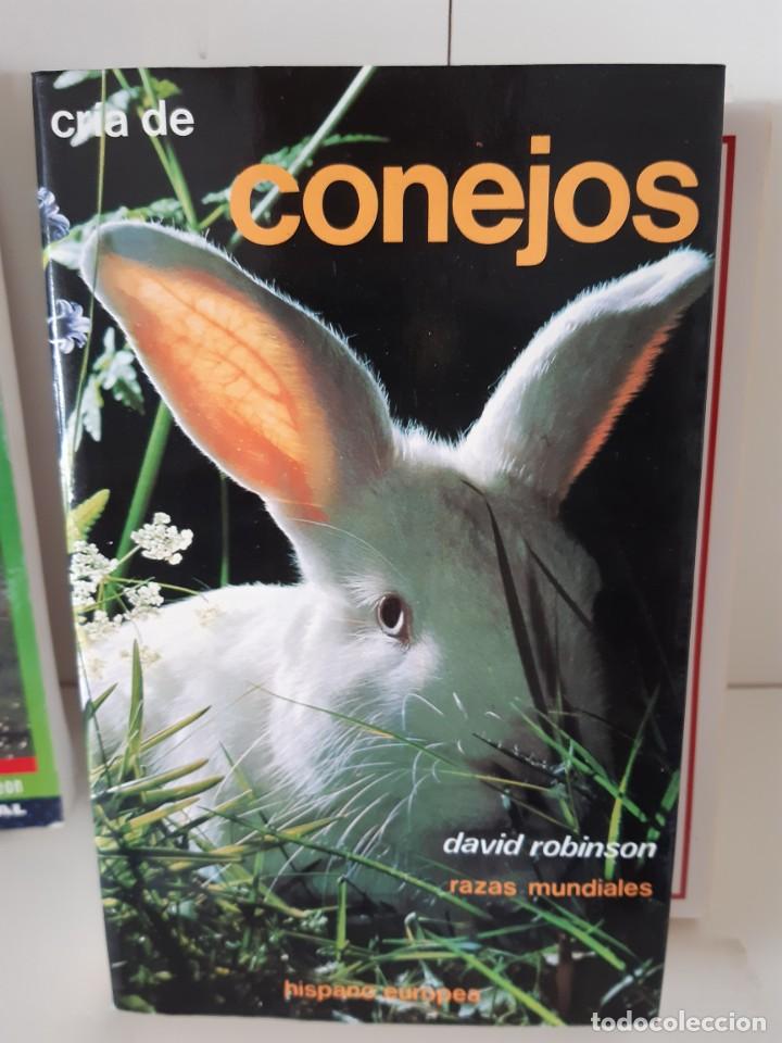 Libros: CRIA DE CONEJOS - Foto 1