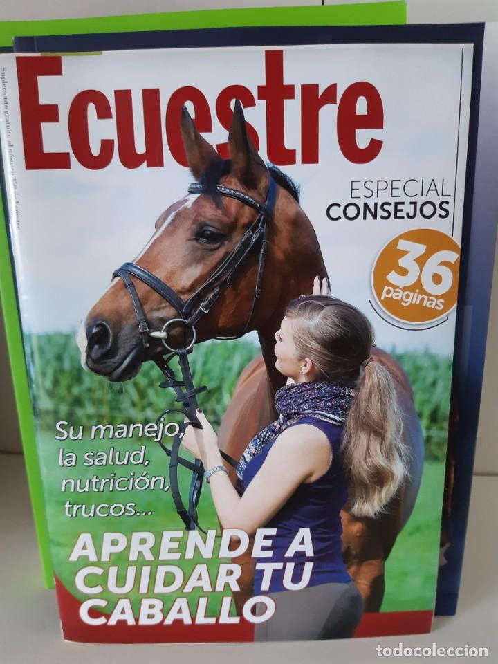 Libros: ECUESTRE APRENDE A CUIDAR TU CABALLO - Foto 1