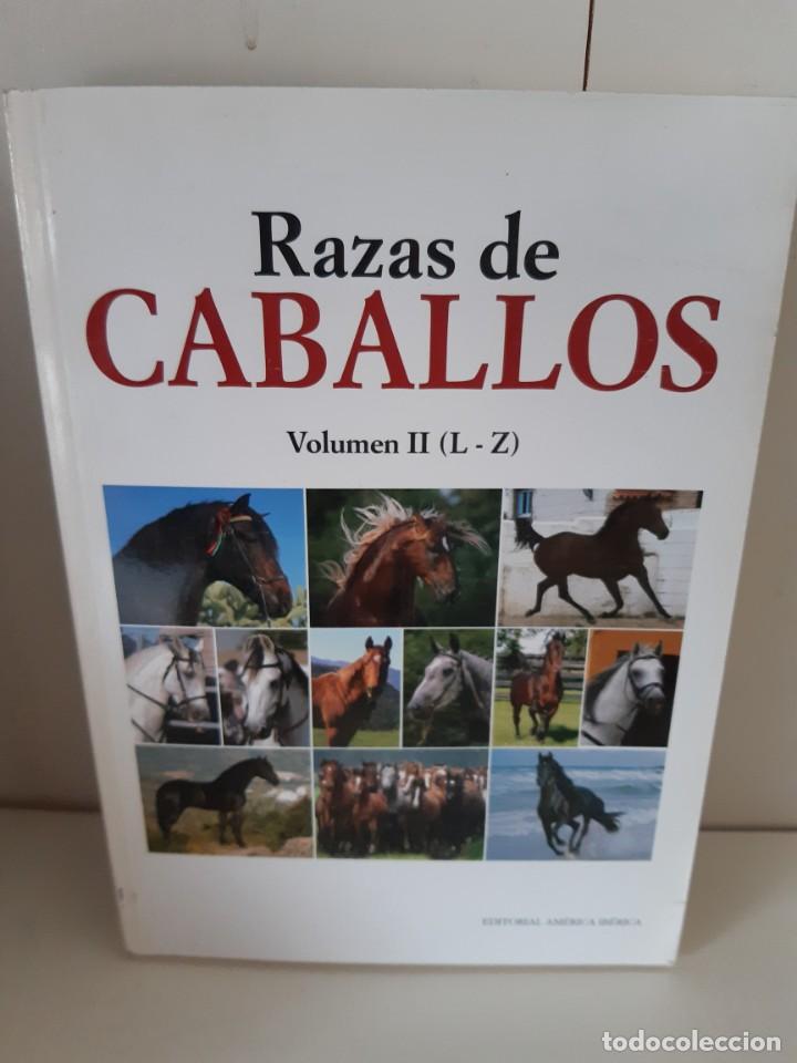 Libros: RAZAS DE CABALLOS DE LA L A LA Z - Foto 1