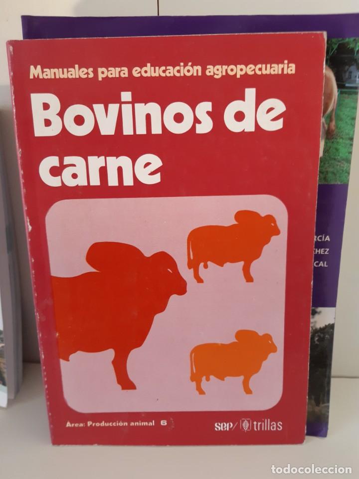 Libros: BOVINOS DE CARNE - Foto 1