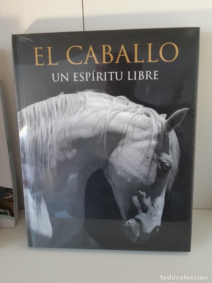Libros: EL CABALLO UN ESPIRITU LIBRE - Foto 1