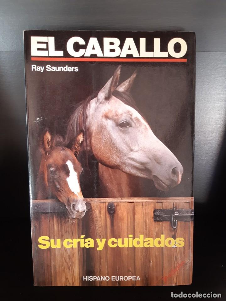 Libros: EL CABALLO SU CRIA Y CUIDADOS RAY SAUNDERS - Foto 1