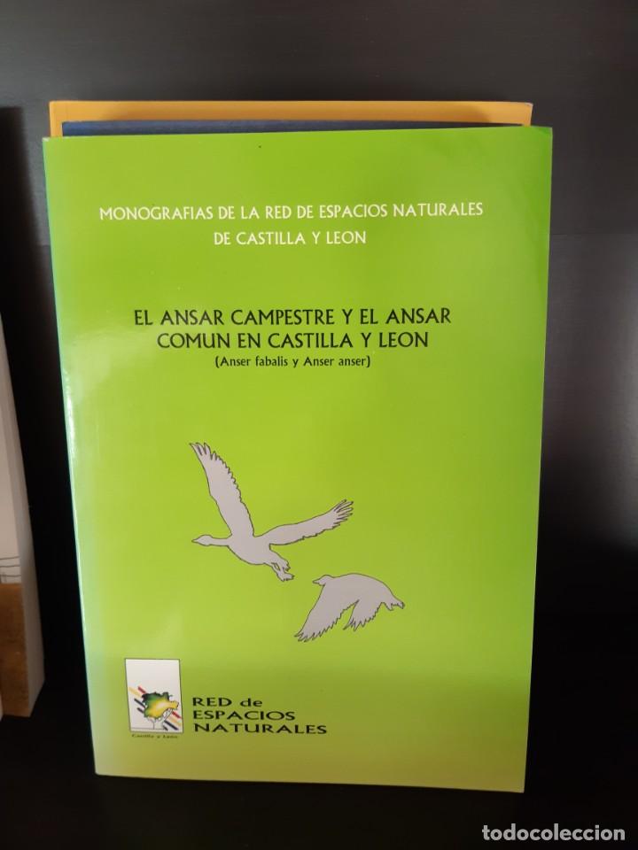 Libros: EL ANSAR CAMPESTRE Y EL ANSAR COMUN EN CASTILLA Y LEON - Foto 1